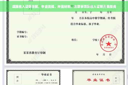 遗属收入证明详解，申请流程、所需材料、注意事项及收入证明开具指南