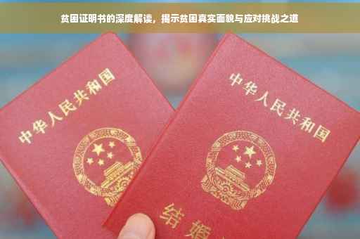 贫困证明书的深度解读，揭示贫困真实面貌与应对挑战之道