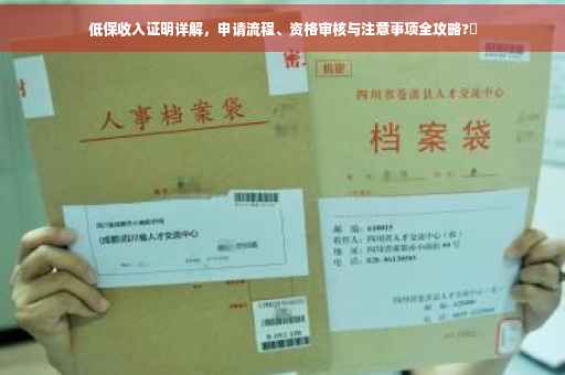 低保收入证明详解，申请流程、资格审核与注意事项全攻略?✨