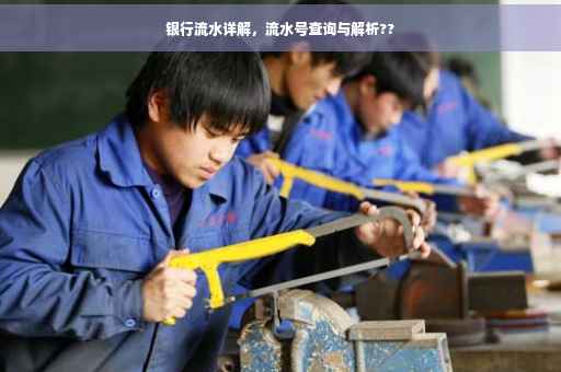 银行流水详解，流水号查询与解析??