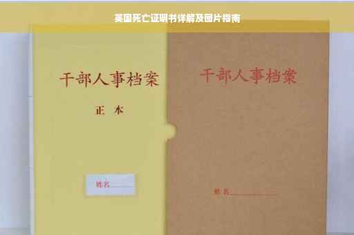 英国死亡证明书详解及图片指南