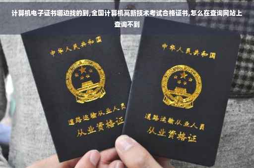计算机电子证书哪边找的到,全国计算机高新技术考试合格证书,怎么在查询网站上查询不到