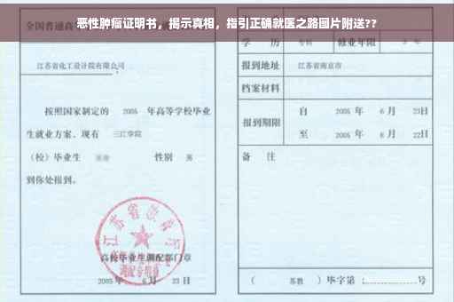 恶性肿瘤证明书，揭示真相，指引正确就医之路图片附送??