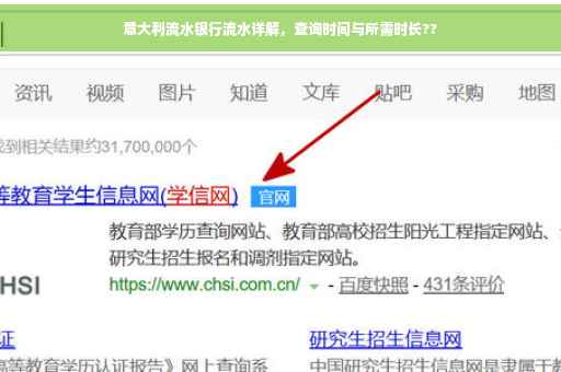 意大利流水银行流水详解，查询时间与所需时长??