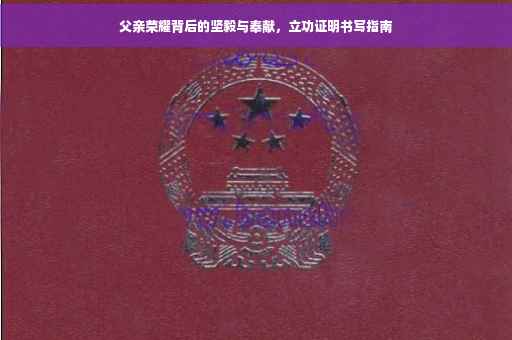 父亲荣耀背后的坚毅与奉献，立功证明书写指南