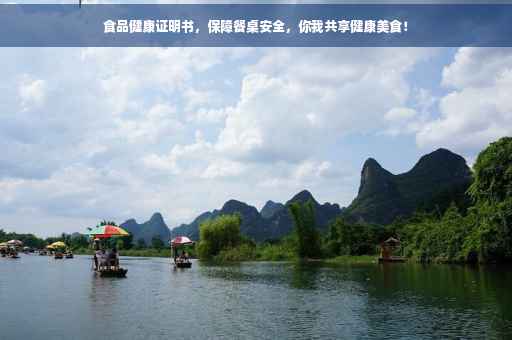 食品健康证明书，保障餐桌安全，你我共享健康美食！
