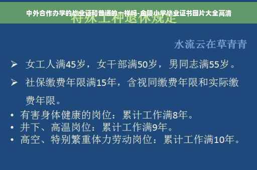 中外合作办学的毕业证和普通的一样吗-金陵小学毕业证书图片大全高清