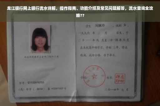 龙江银行网上银行流水详解，操作指南、功能介绍及常见问题解答，流水查询全攻略??