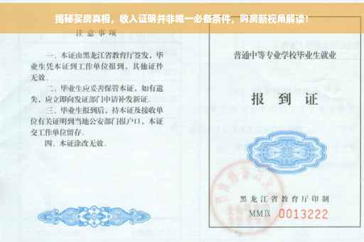 揭秘买房真相，收入证明并非唯一必备条件，购房新视角解读！