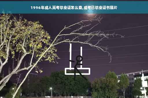 1996年成人高考毕业证怎么查,成考已毕业证书图片
