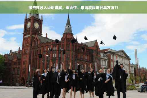 缴费性收入证明详解，重要性、申请流程与开具方法??