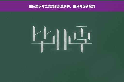银行流水与工资流水深度解析，差异与区别探究