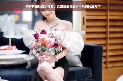 一文解析银行流水细节，支出是否算流水以及如何查询??