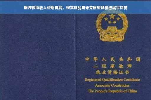 医疗救助收入证明详解，现实挑战与未来展望及模板编写指南