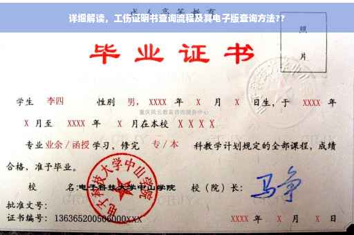 详细解读，工伤证明书查询流程及其电子版查询方法??