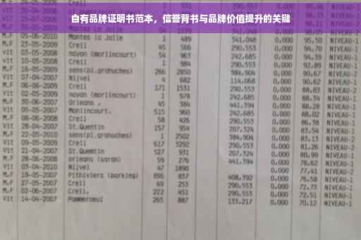 自有品牌证明书范本，信誉背书与品牌价值提升的关键