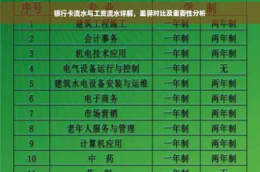 银行卡流水与工资流水详解，差异对比及重要性分析