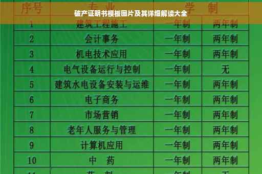 破产证明书模板图片及其详细解读大全