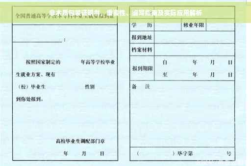 非木质包装证明书，重要性、编写指南及实际应用解析