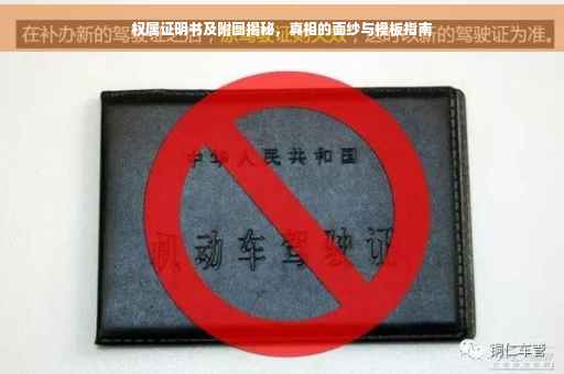 权属证明书及附图揭秘，真相的面纱与模板指南
