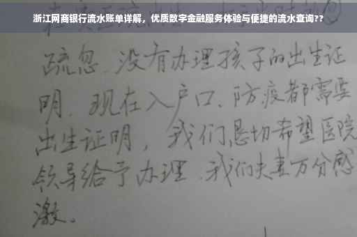 浙江网商银行流水账单详解，优质数字金融服务体验与便捷的流水查询??