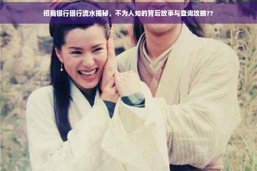 招商银行银行流水揭秘，不为人知的背后故事与查询攻略??