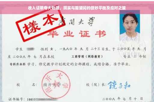 收入证明夸大处理，现实与期望间的微妙平衡及应对之策