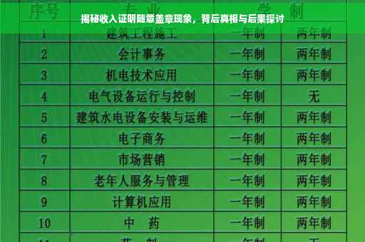 揭秘收入证明随意盖章现象，背后真相与后果探讨