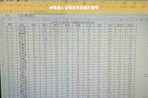 种地收入证明范本及图片参考