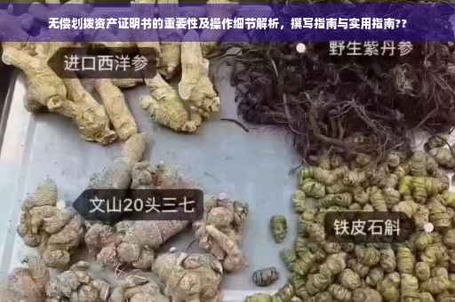 无偿划拨资产证明书的重要性及操作细节解析，撰写指南与实用指南??