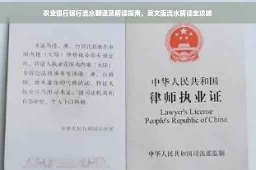 农业银行银行流水翻译及解读指南，英文版流水解读全攻略
