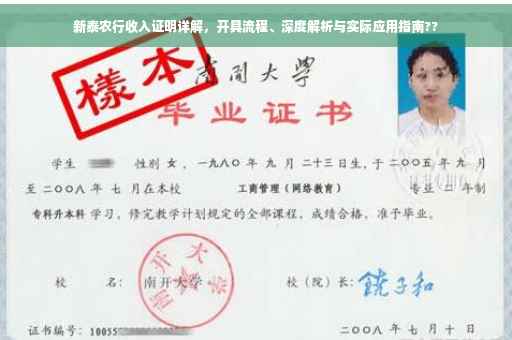 新泰农行收入证明详解，开具流程、深度解析与实际应用指南??