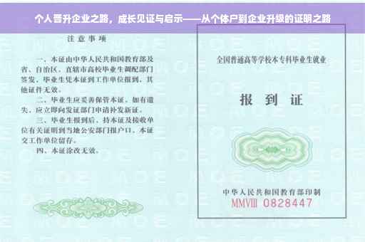 个人晋升企业之路，成长见证与启示——从个体户到企业升级的证明之路