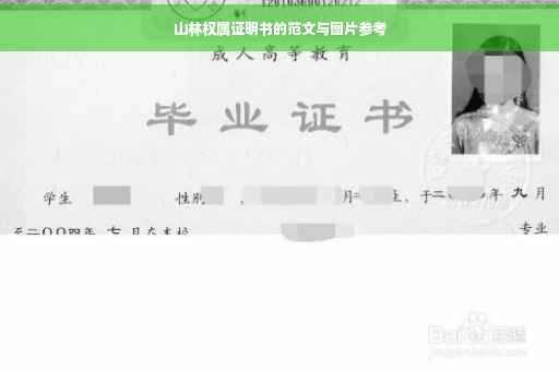 山林权属证明书的范文与图片参考