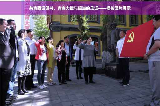 共青团证明书，青春力量与担当的见证——模板图片展示