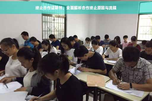 终止合作证明书，全面解析合作终止原因与流程