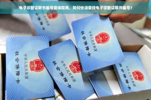 电子诊断证明书编号查询指南，如何快速查找电子诊断证明书编号？