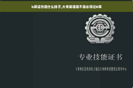 b级证书是什么样子,大专英语是不是必须过B级