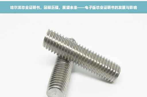 哈尔滨毕业证明书，回顾历程，展望未来——电子版毕业证明书的发展与影响