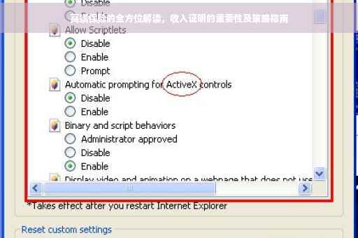 高端保险的全方位解读，收入证明的重要性及策略指南