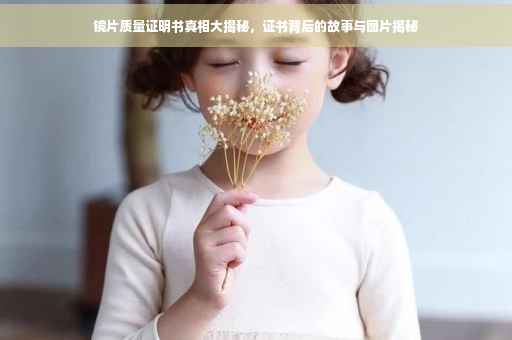 镜片质量证明书真相大揭秘，证书背后的故事与图片揭秘