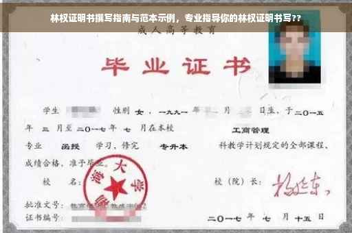 林权证明书撰写指南与范本示例，专业指导你的林权证明书写??