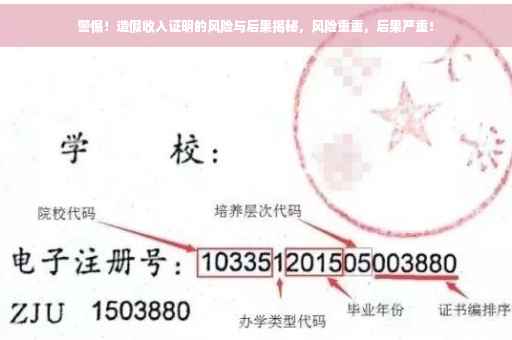 警惕！造假收入证明的风险与后果揭秘，风险重重，后果严重！