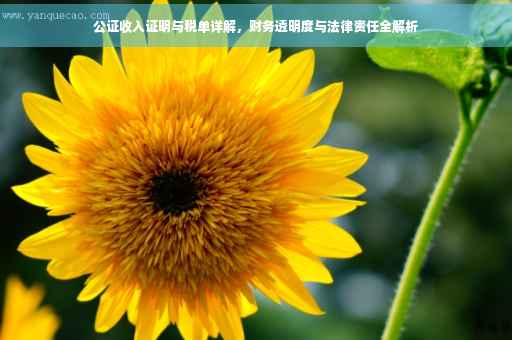公证收入证明与税单详解，财务透明度与法律责任全解析