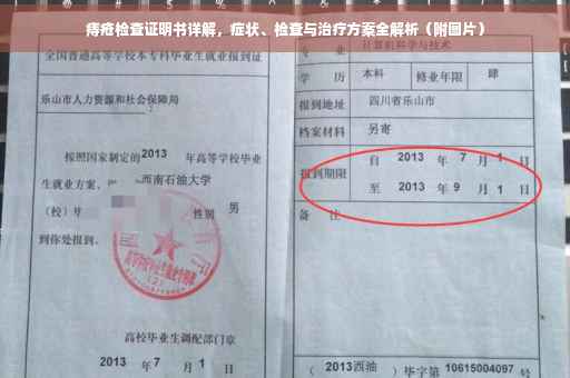 痔疮检查证明书详解，症状、检查与治疗方案全解析（附图片）
