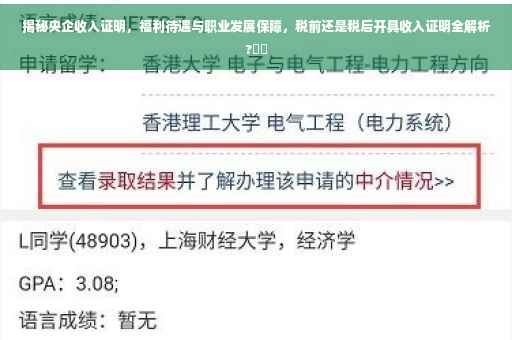 揭秘央企收入证明，福利待遇与职业发展保障，税前还是税后开具收入证明全解析?⚡️