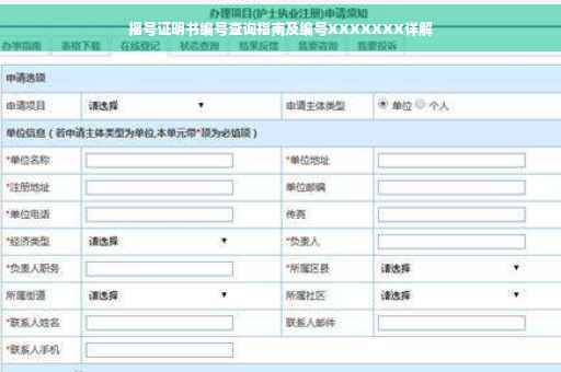摇号证明书编号查询指南及编号XXXXXXX详解