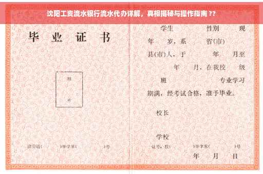 沈阳工资流水银行流水代办详解，真相揭秘与操作指南 ??