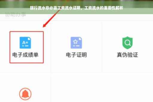 银行流水非必需工资流水证明，工资流水的重要性解析