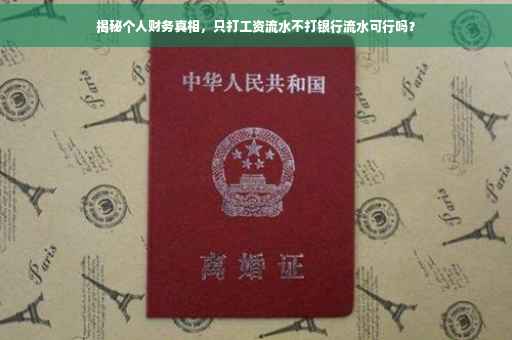 揭秘个人财务真相，只打工资流水不打银行流水可行吗？
